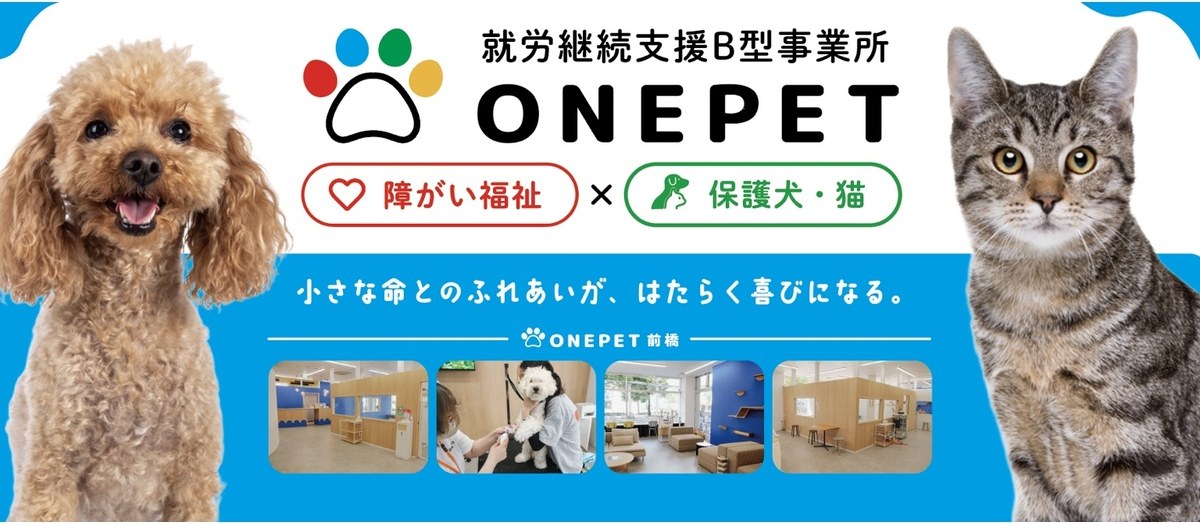 就労継続支援B型事業所 ONEPET　障がい福祉×保護犬・猫
